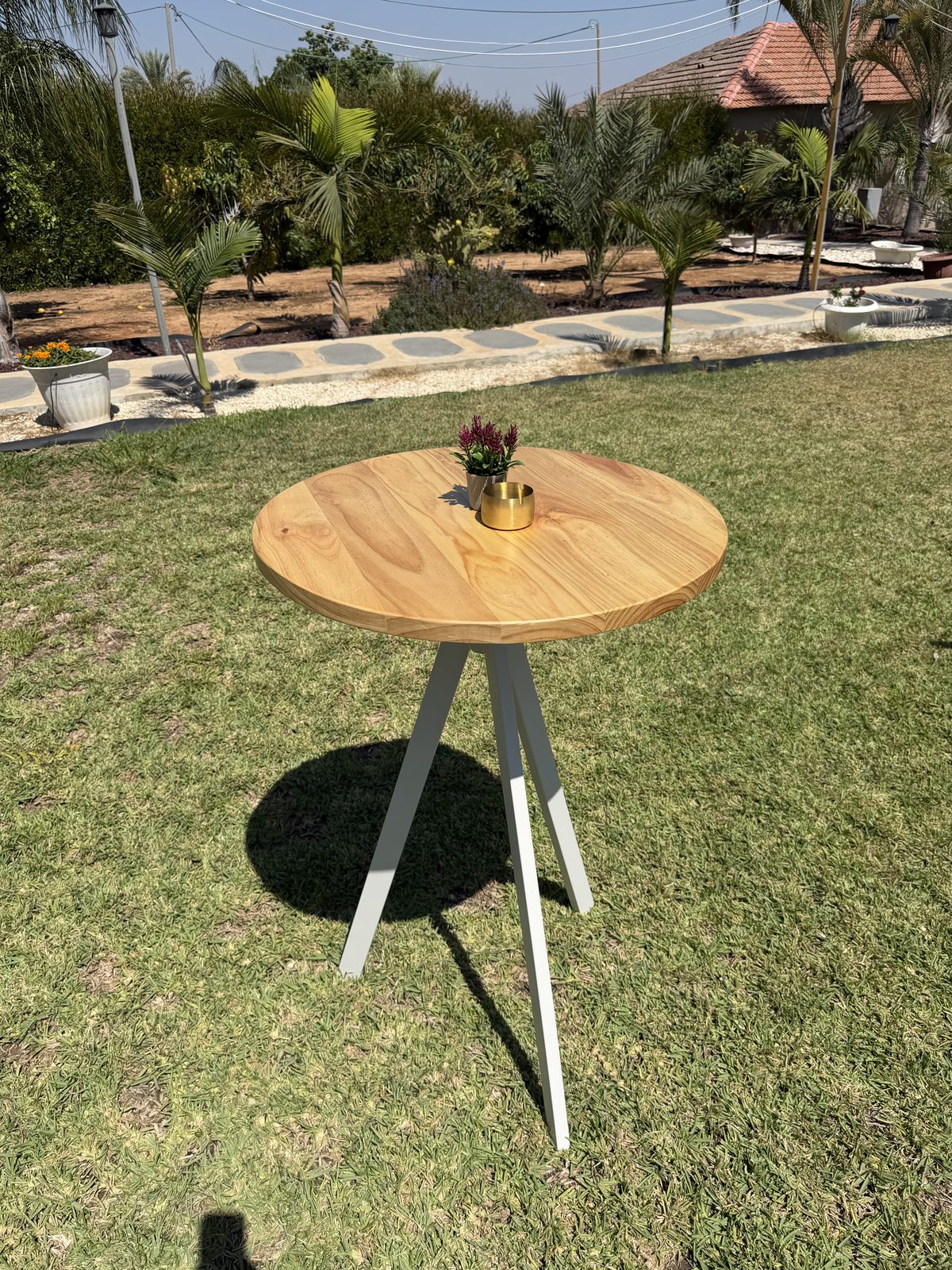 שולחן קפה עם פלטה עגולה בצבע עץ להשכרה