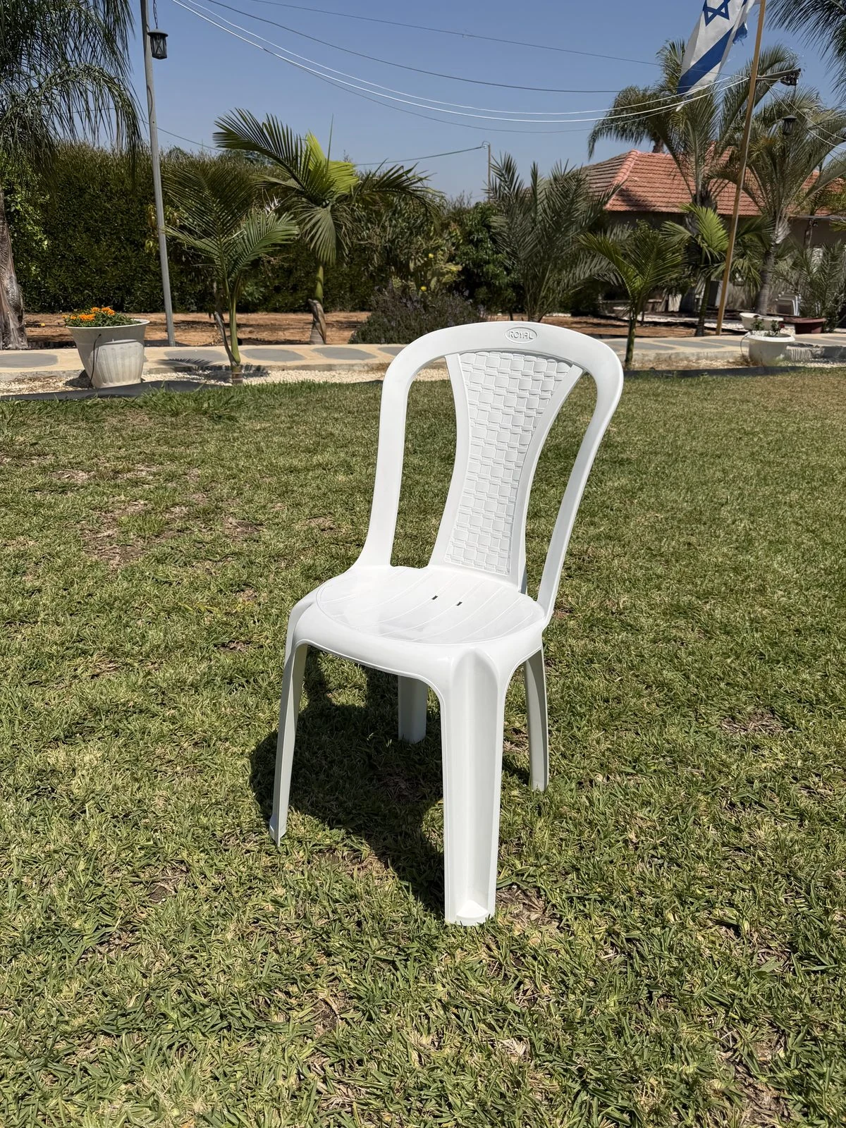 כיסא פלסטיק איכותי לבן להשכרה
